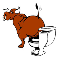 bull-shit-200