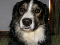 Jessie.PA180550sm