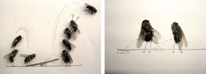 flyart2