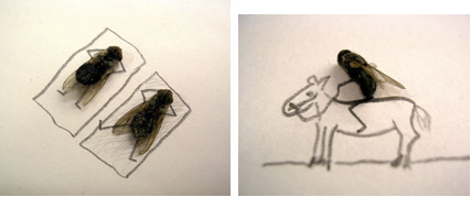 flyart4