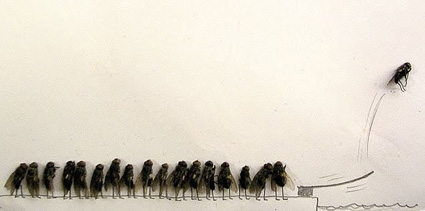 flyart5