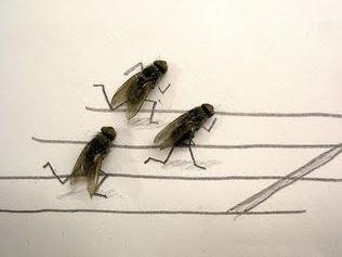 flyart6