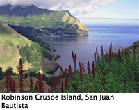 viewoftown-copia-200