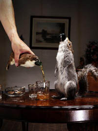 brewdog_taxidermy200