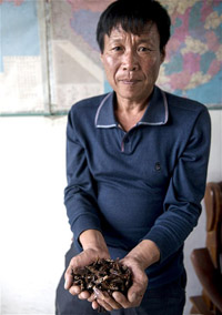 a-fistful-of-roach_200