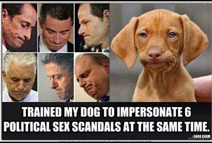 dog sex scandal